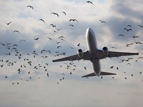 � ������� ��������� 14 ����������� ����������