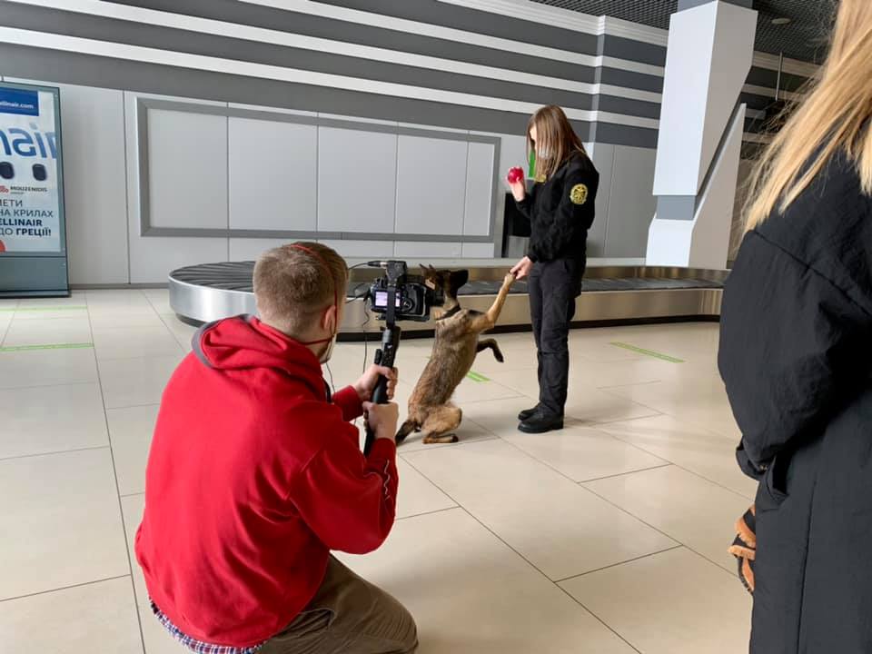 В аэропорту Киев снимали сюжет о служебных собаках 