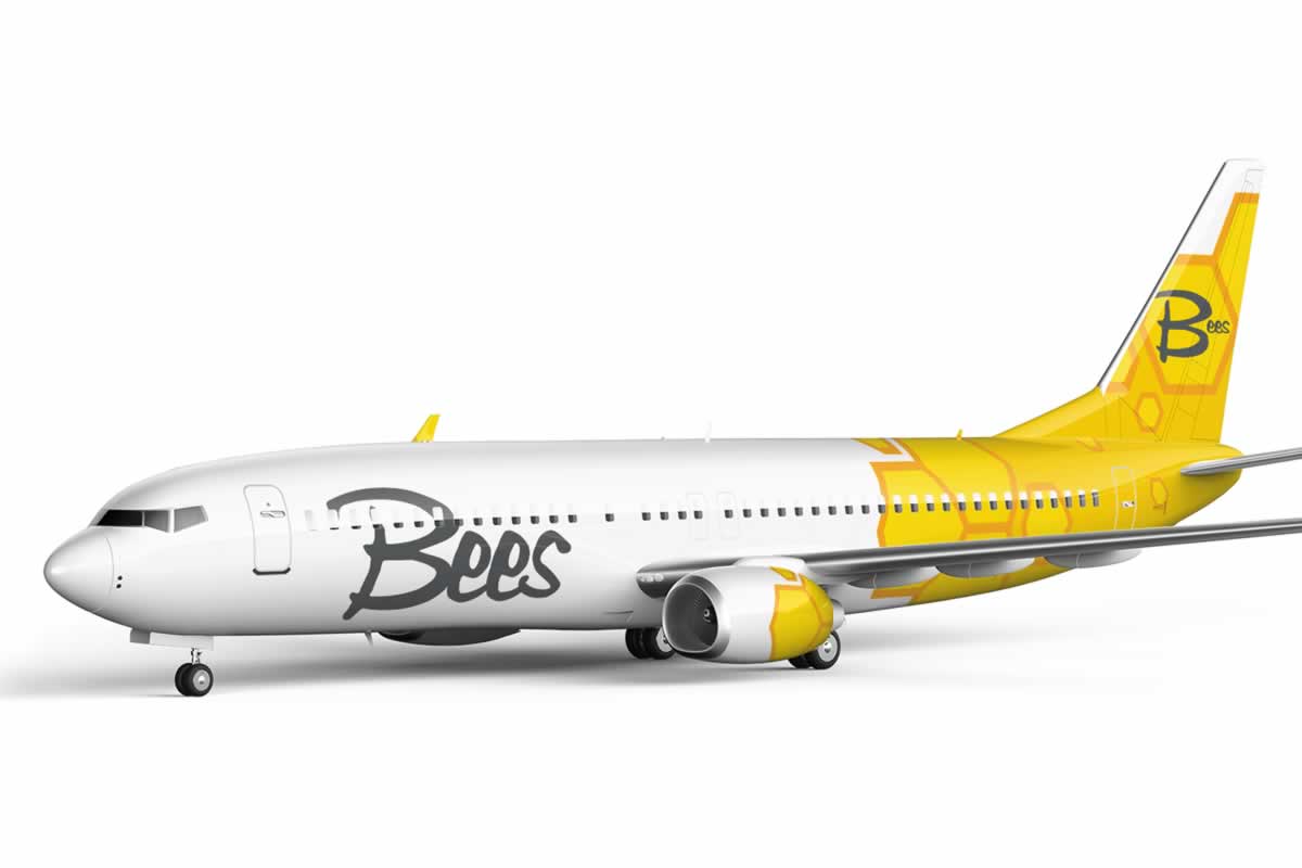 Bees Airline получила сертификат эксплуатанта