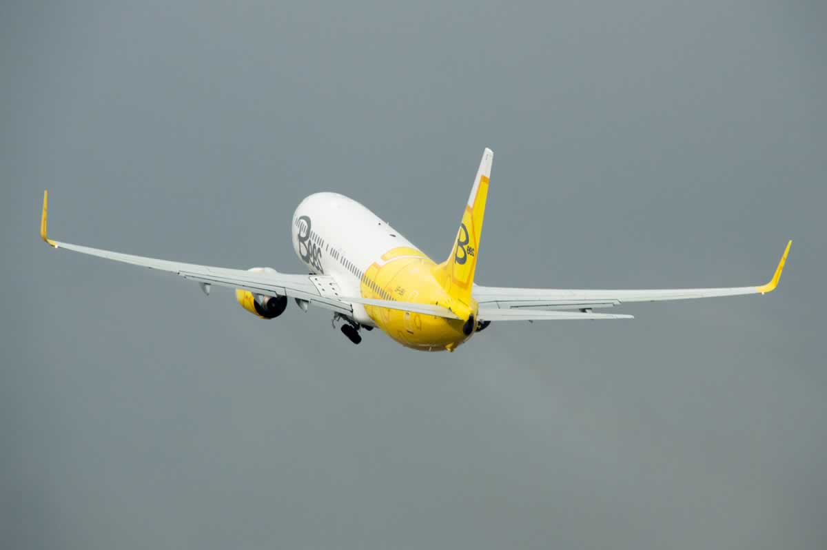 Авиакомпания Bees Airline открыла продажи на 4 регулярных рейса 