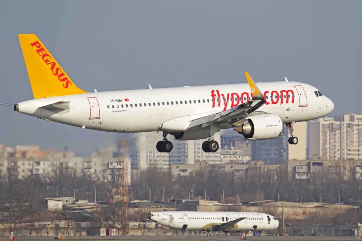 Pegasus Airlines вернулась в Одессу с рейсом в Стамбул