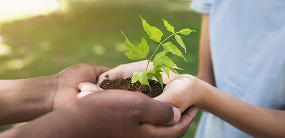 Veganism and Sustainability