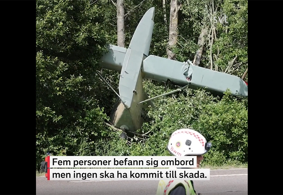 У Швеції літак Ан-2 врізався в дерева