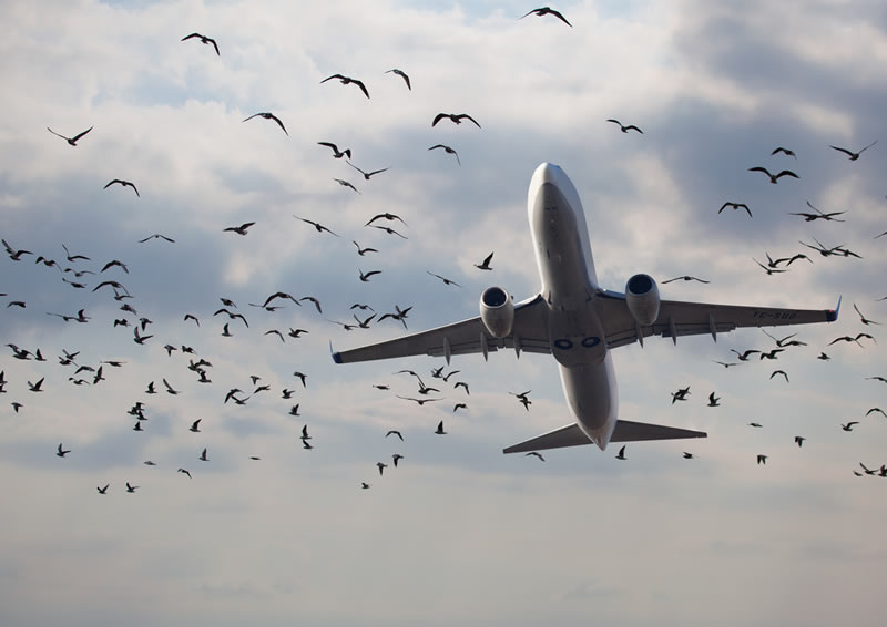 НБРГА утвердило инструкцию о предоставлении сообщений об авиационных происшествиях