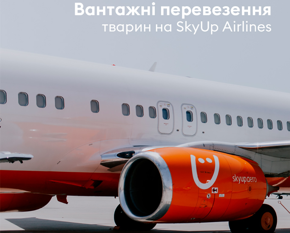 В SkyUp Airlines начали грузовые перевозки животных